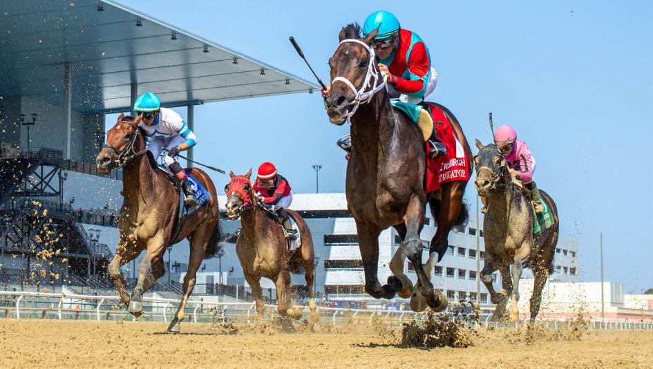 Vosburgh Stakes, Belmont at the Big A, Eclipse Sportswire Vosburgh Stakes, Belmont at the Big A, Eclipse Sportswire